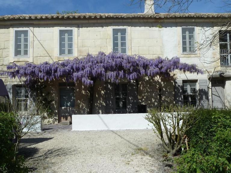 Mas De La Forge Villa Arles Buitenkant foto